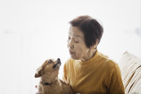 Older Asian woman look fondly at her little dog, who's looking up at her with the cutest expression. You can tell they love each other.