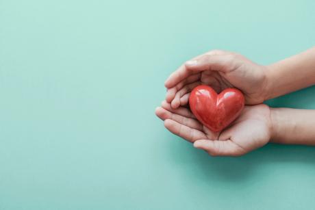 hands holding a heart