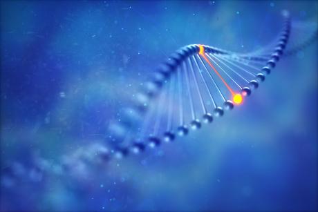 Graphic representation of DNA