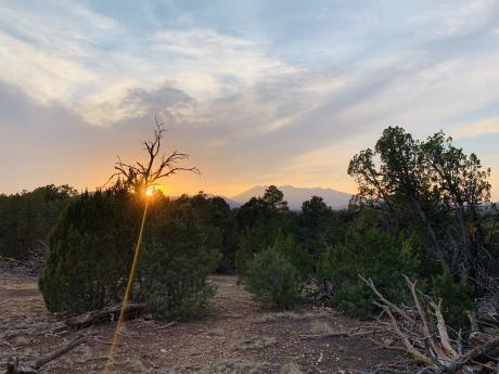 Sun setting behind trees in the American West with mountains silhouetted in the far distance