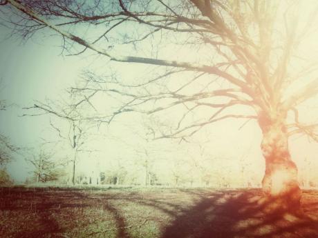 Illo of light flash hallucination