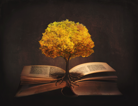 Tree grows out of book