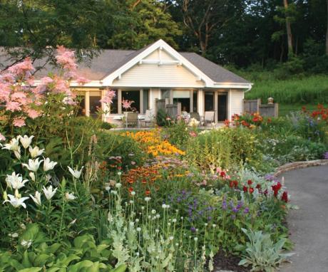 Summer flowers at Agrace Hospice