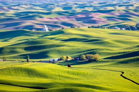 Steptoe Butte State Park