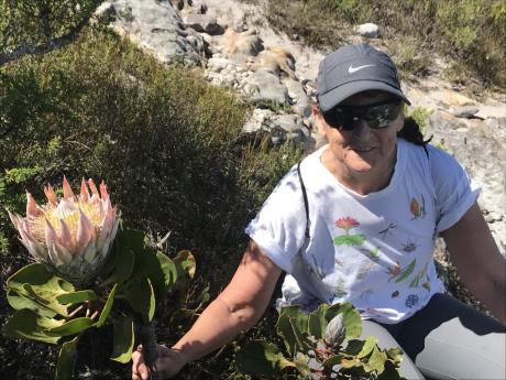 Siegal-Gidan in Cape Town