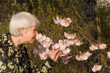 Spring and older adults