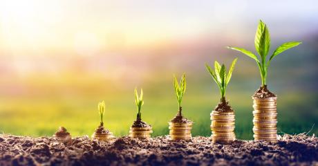 Growth of money illustration