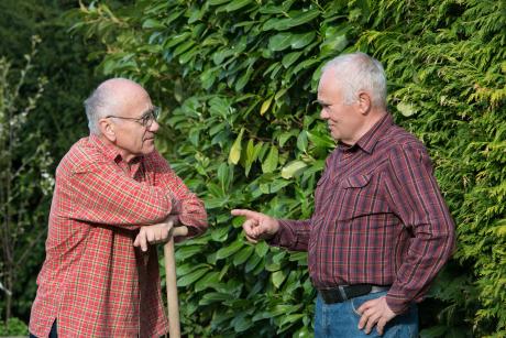Men talking, tall hedge behind